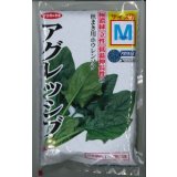[ほうれんそう]　アグレッシブ　種子サイズ：M　　3万粒　（株）サカタのタネ