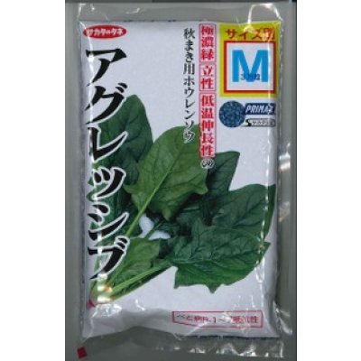 画像1: [ほうれんそう]　アグレッシブ　種子サイズ：M　　3万粒　（株）サカタのタネ