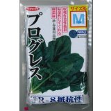 [ほうれんそう]　プログレス　種子サイズ：M　3万粒　（株）サカタのタネ