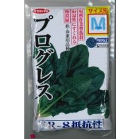 [ほうれんそう]　プログレス　種子サイズ：M　3万粒　（株）サカタのタネ