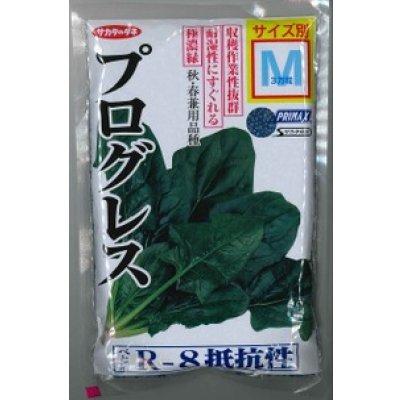 画像1: [ほうれんそう]　プログレス　種子サイズ：M　3万粒　（株）サカタのタネ
