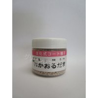 送料無料　[キャベツ]　かおるだま　コート5千粒　（株）サカタのタネ
