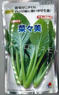 [小松菜]　菜々美　2dl　タキイ種苗（株）