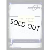 送料無料　二コル　ルッコラ　1L　渡辺農事（株）