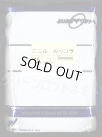 送料無料　二コル　ルッコラ　1L　渡辺農事（株）