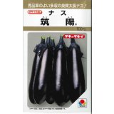 送料無料　[なす]　筑陽　100粒　タキイ種苗(株)