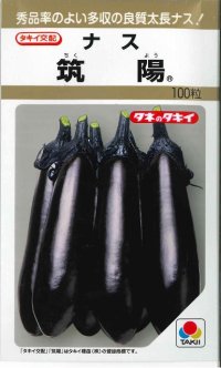 [なす]　筑陽　100粒　タキイ種苗（株）