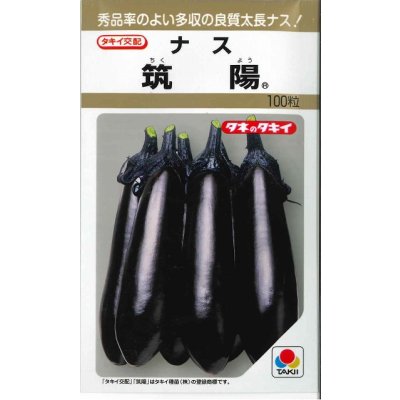 画像1: 送料無料　[なす]　筑陽　100粒　タキイ種苗(株)