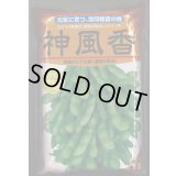 [枝豆]　枝豆　神風香　1L　雪印種苗(株)