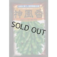 [枝豆]　枝豆　神風香　1L　雪印種苗(株)