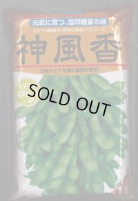 [枝豆]　枝豆　神風香　1L　雪印種苗(株)