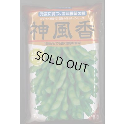画像1: [枝豆]　枝豆　神風香　1L　雪印種苗(株)