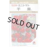 送料無料　[トマト/ミニトマト]　千果　100粒　タキイ種苗(株)
