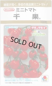 送料無料　[トマト/ミニトマト]　千果　100粒　タキイ種苗(株)