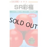 [トマト/大玉トマト] SR彩福  小袋   12粒 カネコ種苗（株）