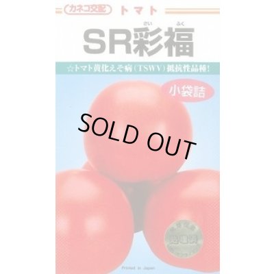 画像1: [トマト/大玉トマト] SR彩福  小袋   12粒 カネコ種苗（株）