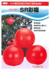 送料無料　[トマト/大玉トマト]　SR彩福　100粒　カネコ種苗