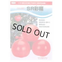[トマト/大玉トマト] SR彩福 100粒 カネコ種苗（株）