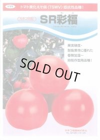 [トマト/大玉トマト] SR彩福 100粒 カネコ種苗（株）