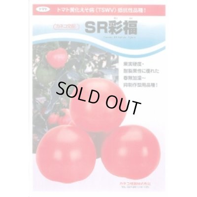 画像2: [トマト/大玉トマト] SR彩福  小袋   12粒 カネコ種苗（株）
