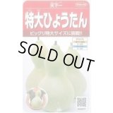 送料無料　特大ひょうたん　約6粒　(株)サカタのタネ　実咲250（002866）