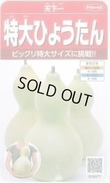 送料無料　特大ひょうたん　約6粒　(株)サカタのタネ　実咲250（002866）