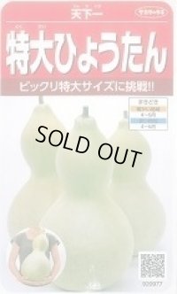 送料無料　特大ひょうたん　約6粒　(株)サカタのタネ　実咲250（002866）