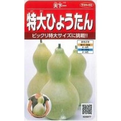画像1: 送料無料　特大ひょうたん　約6粒　(株)サカタのタネ　実咲250（002866）