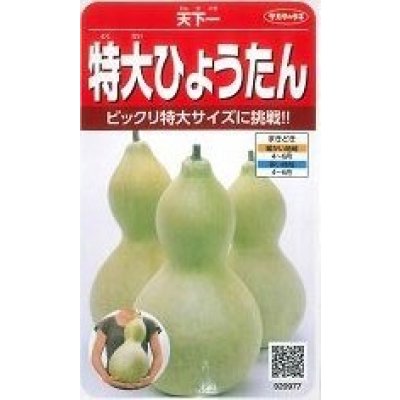 画像1: [その他]　特大ひょうたん　約6粒　（株）サカタのタネ　実咲200