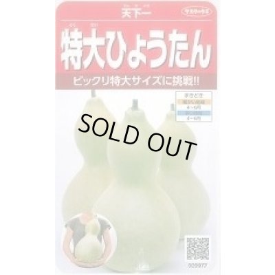 画像1: 送料無料　特大ひょうたん　約6粒　(株)サカタのタネ　実咲250（002866）