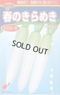 [大根] 春のきらめき 130粒 渡辺農事（株）