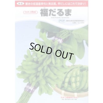 画像2: [枝豆]　福だるま　2000粒　カネコ種苗（株）