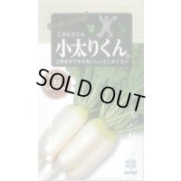 送料無料　[大根]　小太りくん　500粒　雪印種苗(株)
