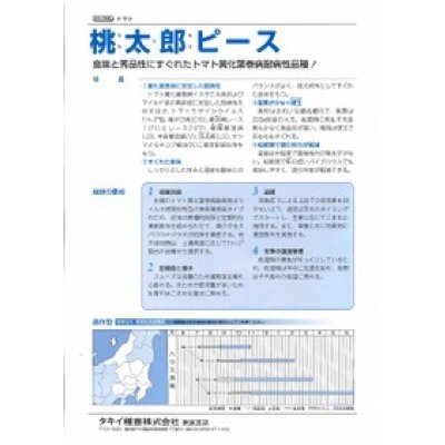 画像3: [トマト/桃太郎系]　送料無料！　桃太郎ピース　ペレット1000粒　タキイ種苗　