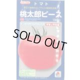 送料無料　[トマト/桃太郎系]　桃太郎ピース　1000粒　タキイ種苗（株）