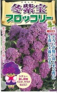 送料無料　[ブロッコリー]　冬紫宝　60粒　小林種苗