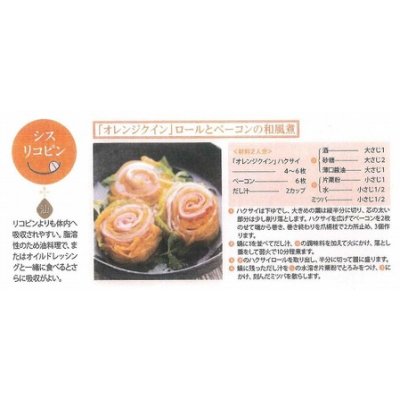 画像3: 送料無料 [白菜] オレンジクイン ペレット種子 100粒 タキイ種苗(株)