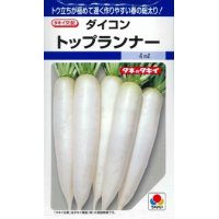 [大根]　トップランナー3.5ml　タキイ種苗（株）　DF　