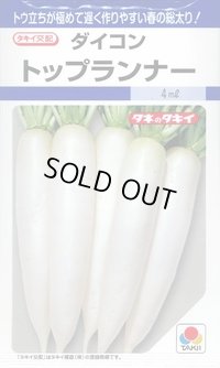 送料無料　[大根]　トップランナー3.5ml　タキイ種苗(株)　DF