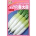 画像1: [大根]　YR春大星　ヴィルモランみかど (1)