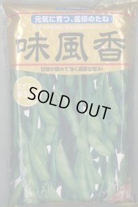 [枝豆]　味風香　1L　雪印種苗(株)