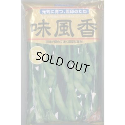 画像1: [枝豆]　味風香　1L　雪印種苗(株)