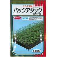 [台木/トマト用]　送料無料！　バックアタック　1000粒　サカタ交配　