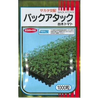 画像1: 送料無料　[台木/トマト用]　バックアタック　1000粒　(株)サカタのタネ