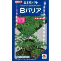 [台木/トマト用]　送料無料！　Bバリア　1000粒　（トマト用）　タキイ種苗（株）