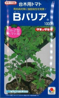 [台木/トマト用]　送料無料！　Bバリア　1000粒　（トマト用）　タキイ種苗（株）