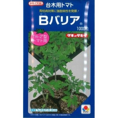 画像1: [台木/トマト用]　送料無料！　Bバリア　1000粒　（トマト用）　タキイ種苗（株）