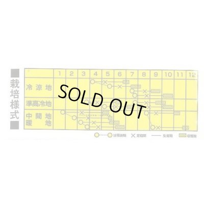 画像2: 送料無料　[レタス]　ヴィレタス　20ml　カネコ育成