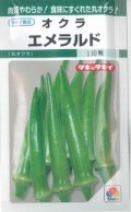 送料無料　[オクラ]　エメラルド　115粒　タキイ種苗(株)　GF