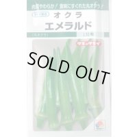 送料無料　[オクラ]　エメラルド　115粒　タキイ種苗(株)　GF